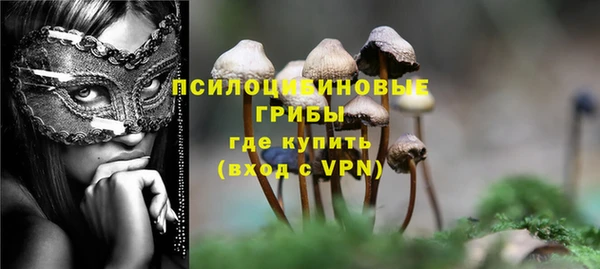 дмт Пестово