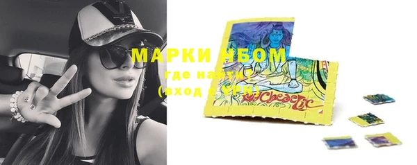 дмт Пестово