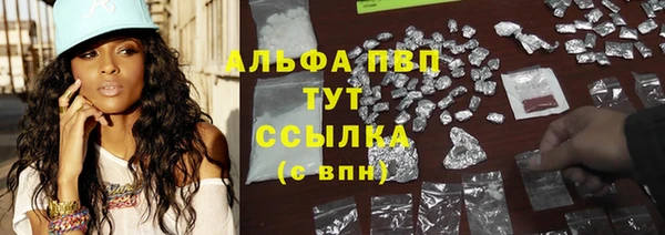 дмт Пестово