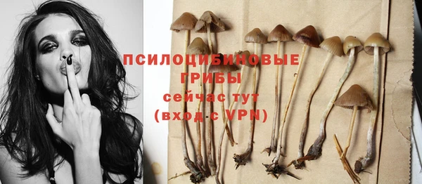 дмт Пестово