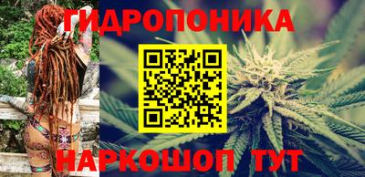 МДПВ Будённовск