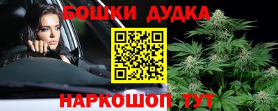 МДПВ Будённовск