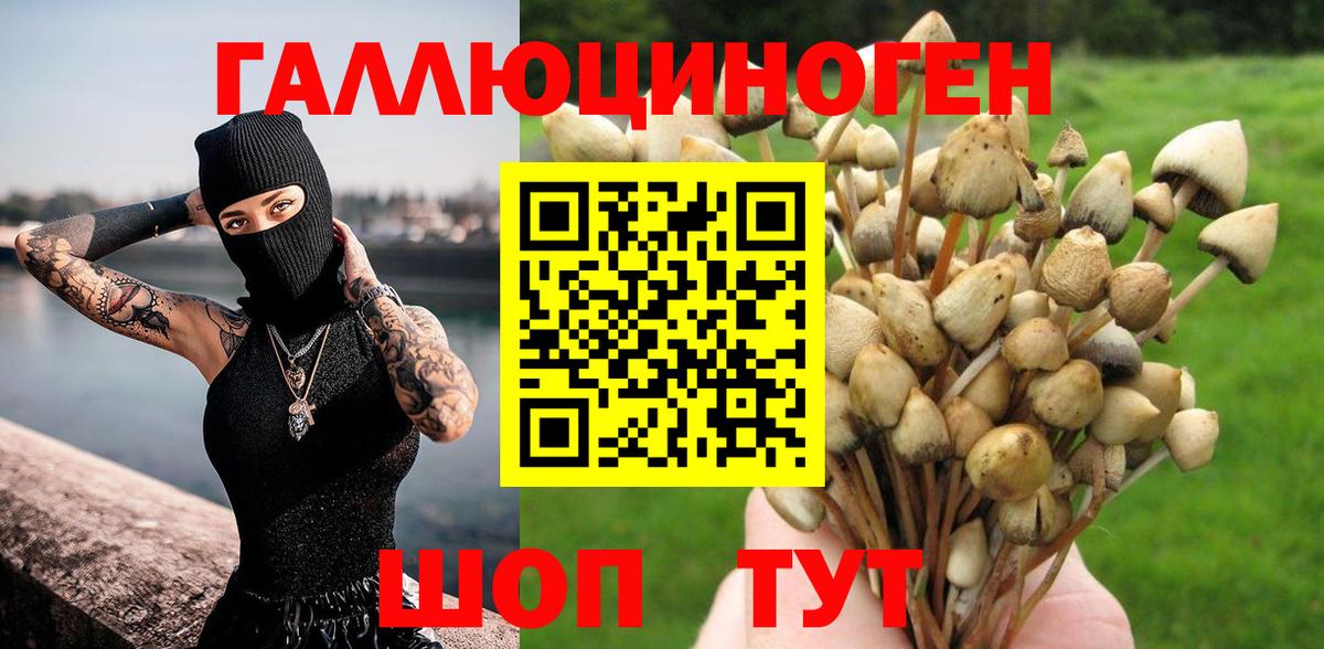 Псилоцибиновые грибы ЛСД Вольск