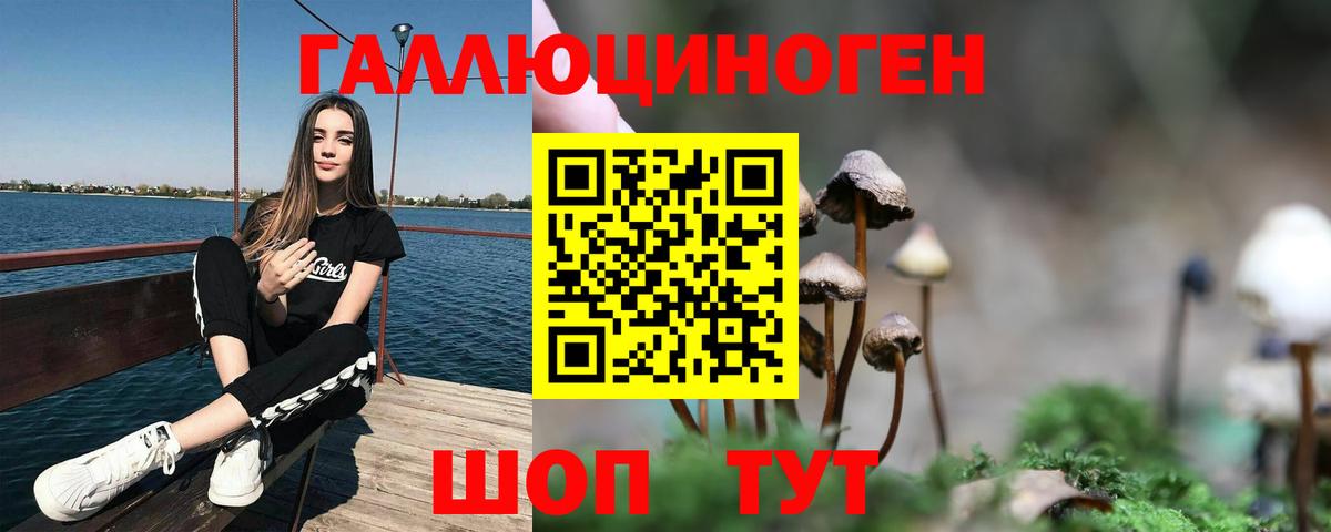 Вольск  Псилоцибиновые грибы Magic Shrooms  Псилоцибиновые грибы Psilocybe  Вход с VPN 