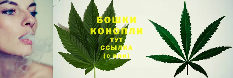 дарк нет как зайти  Вольск  Шишки марихуана тримм 